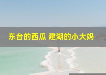 东台的西瓜 建湖的小大妈